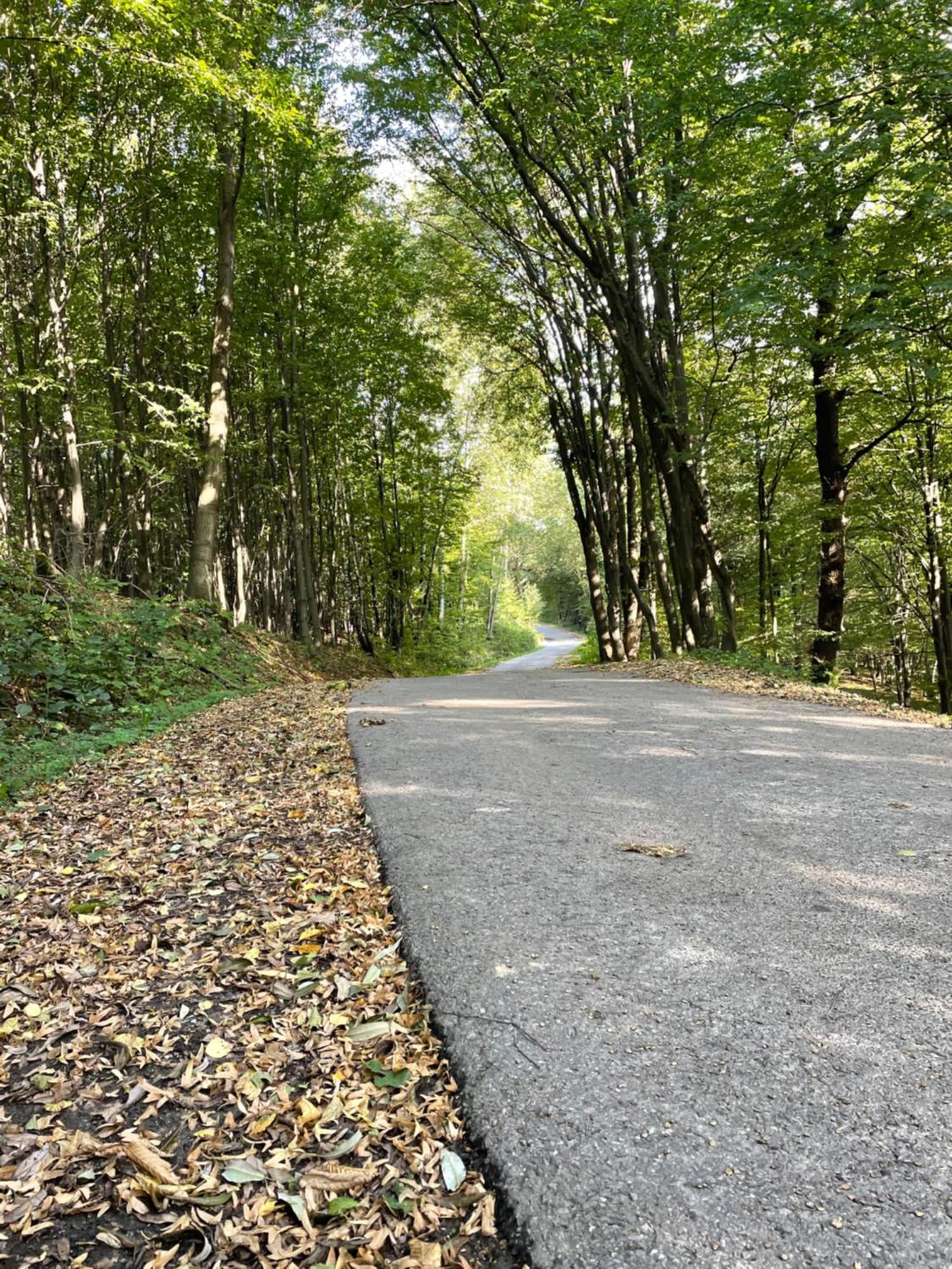 Wioska Jasia I Malgosi Izdebnik Exterior foto