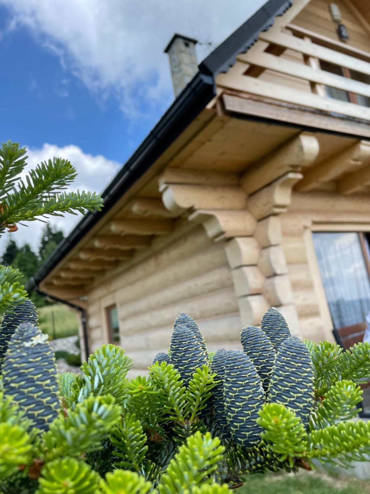 Wioska Jasia I Malgosi Izdebnik Exterior foto