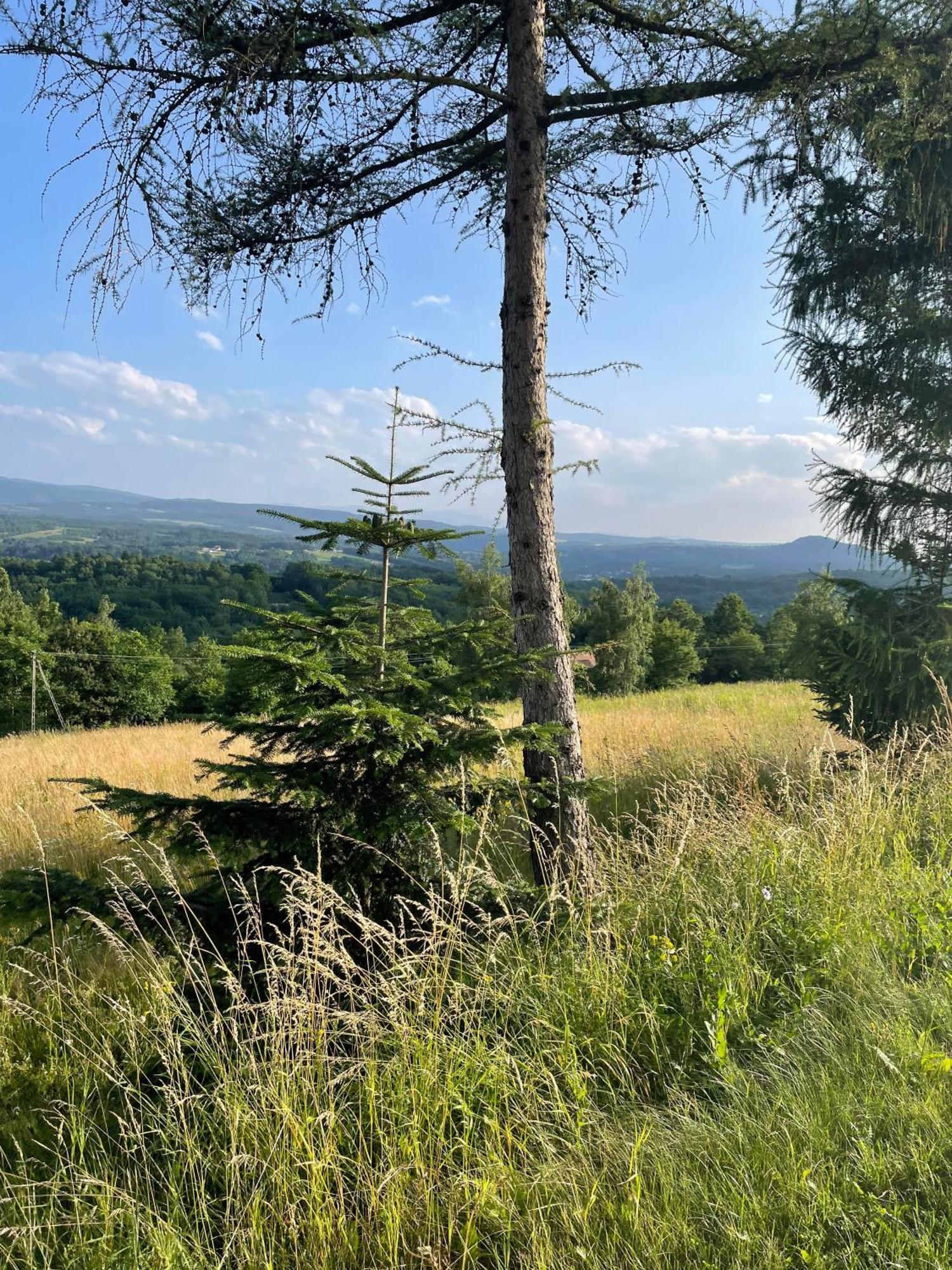 Wioska Jasia I Malgosi Izdebnik Exterior foto